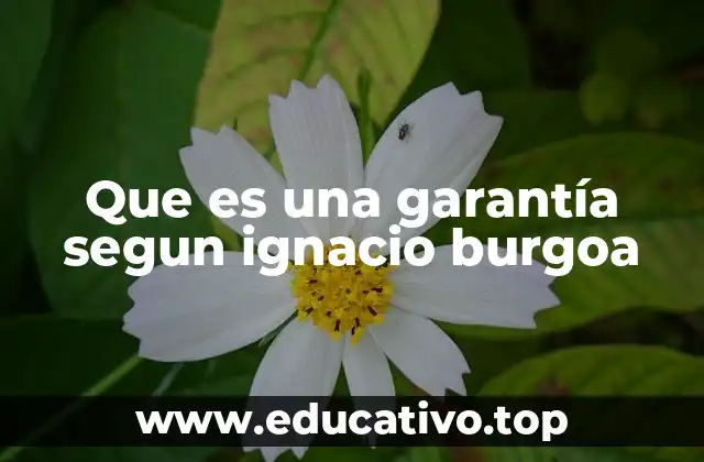 Que es una garantía segun ignacio burgoa