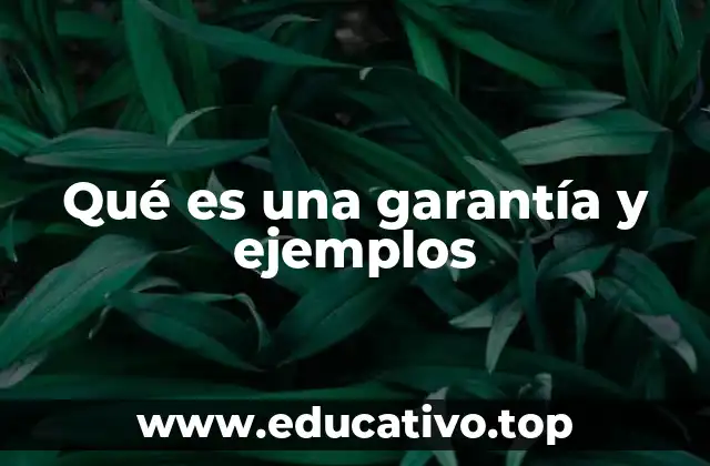 Qué es una garantía y ejemplos