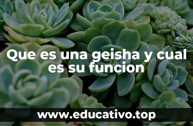Que es una geisha y cual es su funcion