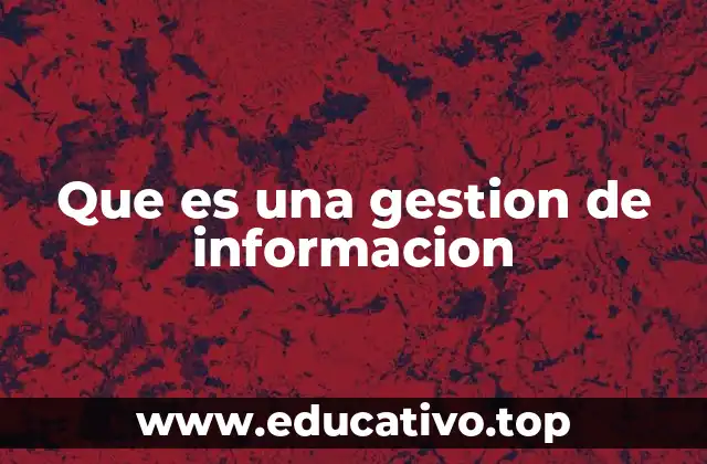 Que es una gestion de informacion