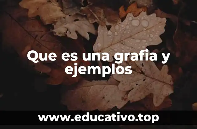 Que es una grafia y ejemplos