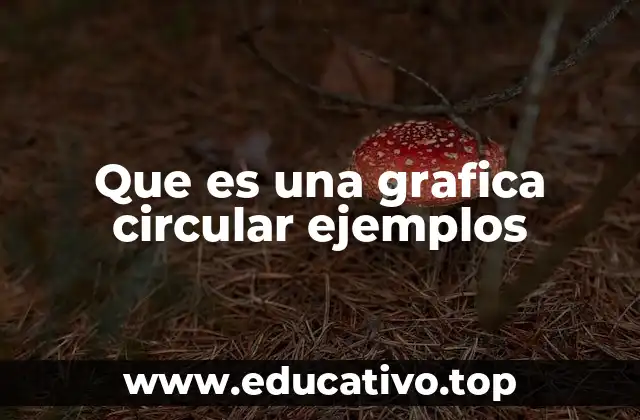 Que es una grafica circular ejemplos
