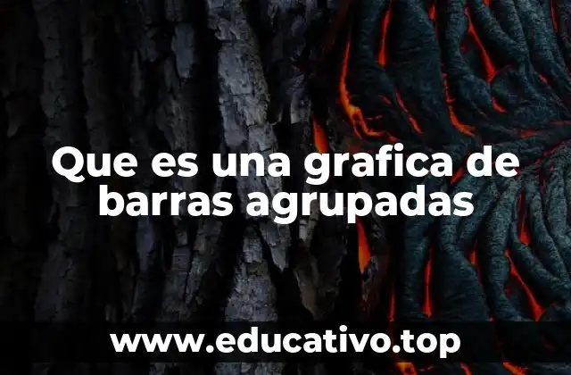 Que es una grafica de barras agrupadas