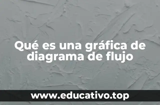 Qué es una gráfica de diagrama de flujo