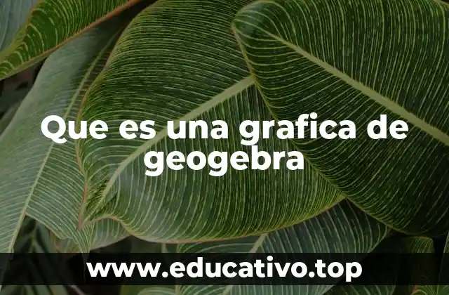 La importancia de visualizar conceptos matemáticos