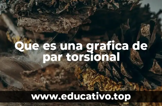 Que es una grafica de par torsional
