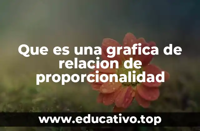 Que es una grafica de relacion de proporcionalidad