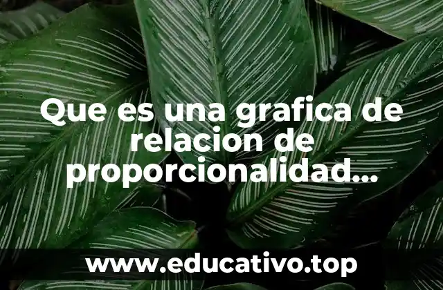 Que es una grafica de relacion de proporcionalidad ejercicios resuletos