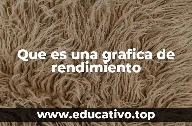 Que es una grafica de rendimiento