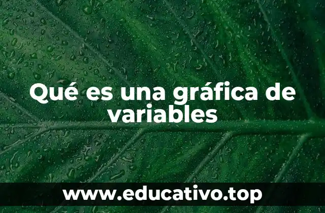 Qué es una gráfica de variables