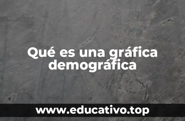 Qué es una gráfica demográfica