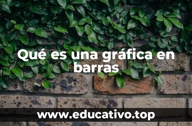 Qué es una gráfica en barras