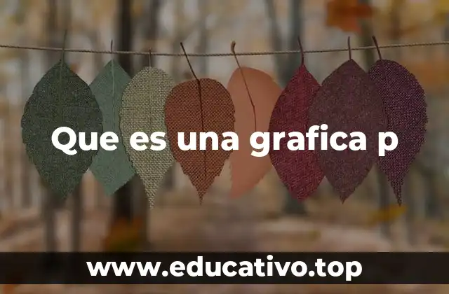 Que es una grafica p
