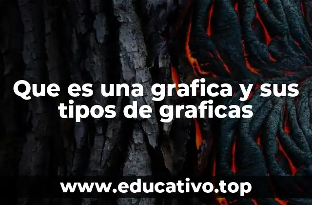 Que es una grafica y sus tipos de graficas