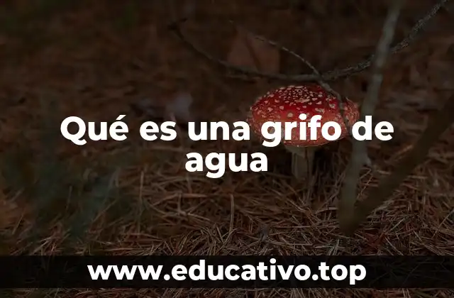 Funcionamiento y estructura de los grifos de agua