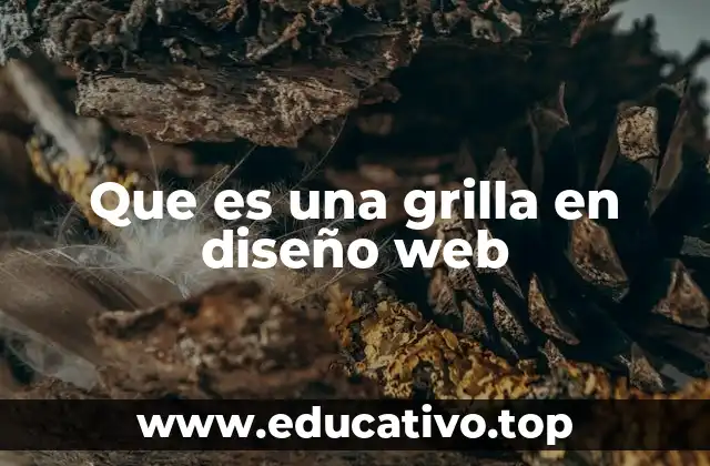 Que es una grilla en diseño web