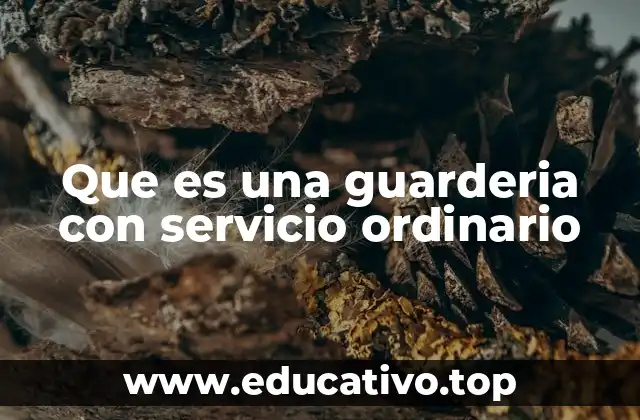 Que es una guarderia con servicio ordinario