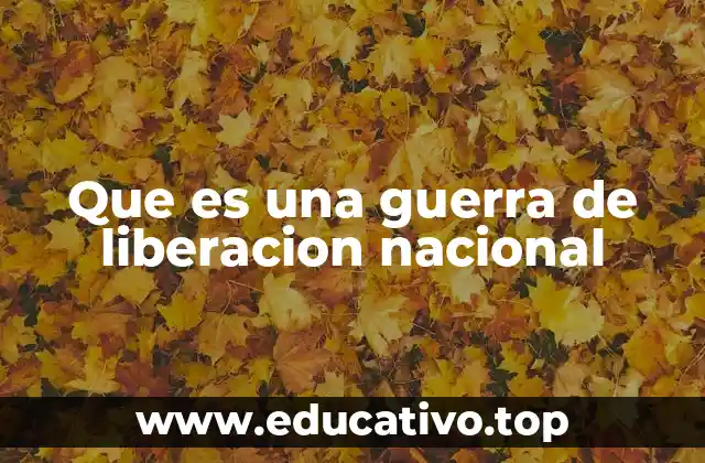 Que es una guerra de liberacion nacional
