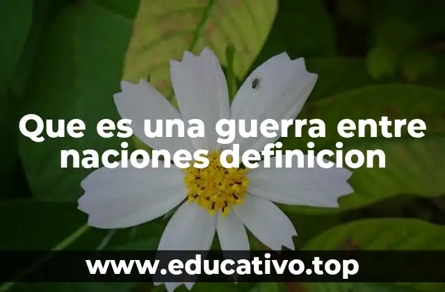 Que es una guerra entre naciones definicion