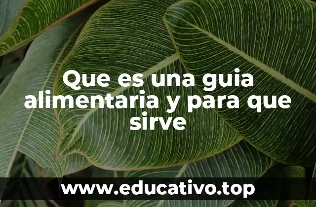 Que es una guia alimentaria y para que sirve