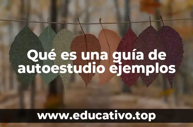 Qué es una guía de autoestudio ejemplos