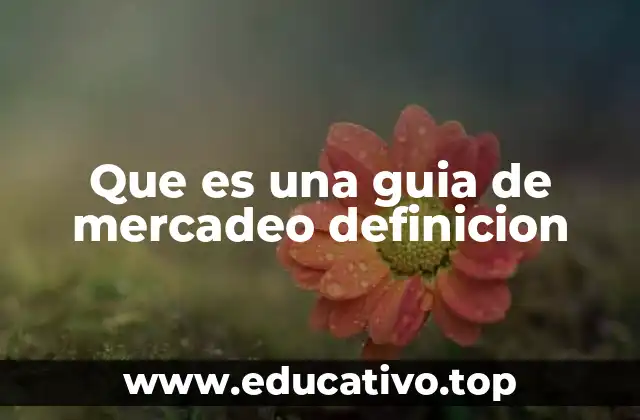 Que es una guia de mercadeo definicion