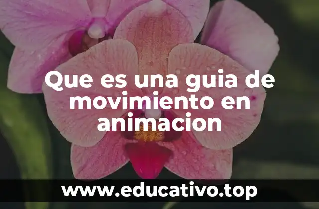 Que es una guia de movimiento en animacion