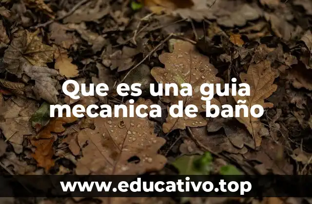 Que es una guia mecanica de baño