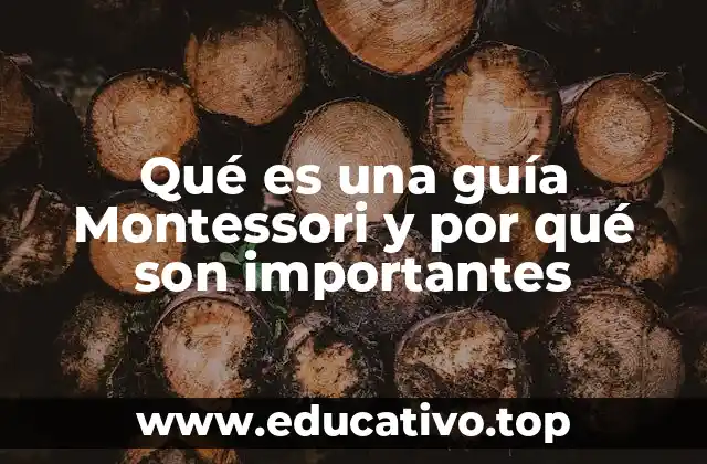 Qué es una guía Montessori y por qué son importantes