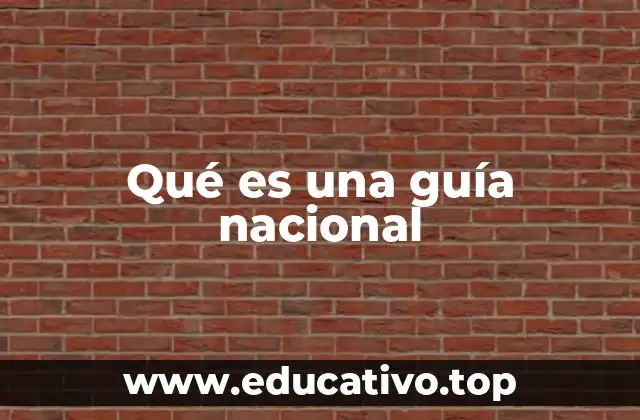 Qué es una guía nacional
