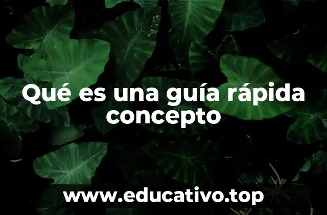 Qué es una guía rápida concepto