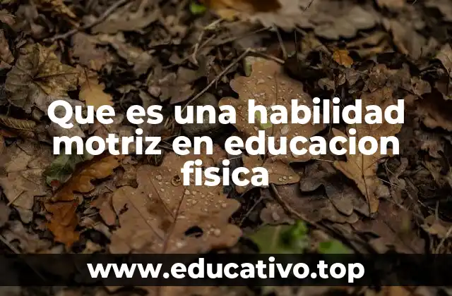Que es una habilidad motriz en educacion fisica