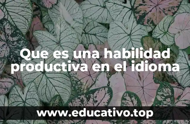 Que es una habilidad productiva en el idioma