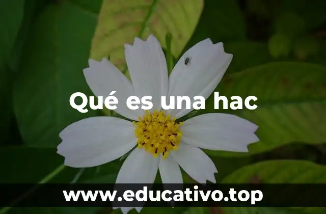 Qué es una hac