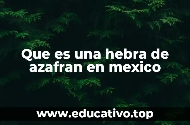 Que es una hebra de azafran en mexico