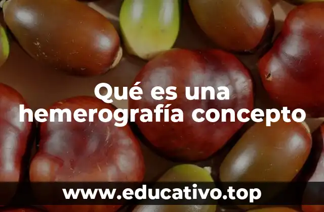 Qué es una hemerografía concepto