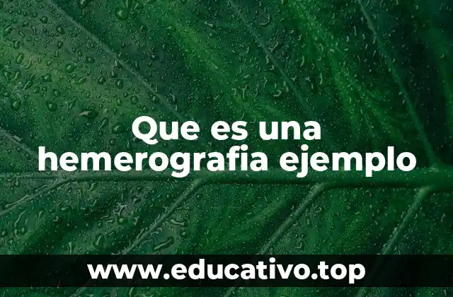 Que es una hemerografia ejemplo