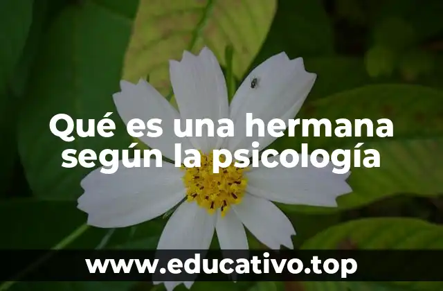Qué es una hermana según la psicología