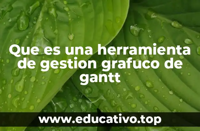 Que es una herramienta de gestion grafuco de gantt