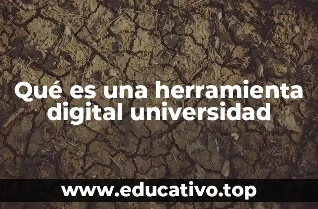 Qué es una herramienta digital universidad