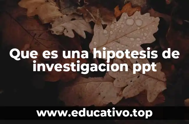 Que es una hipotesis de investigacion ppt