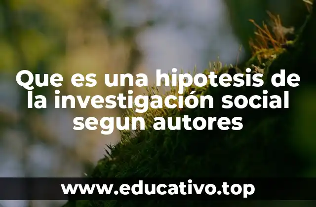 Que es una hipotesis de la investigación social segun autores