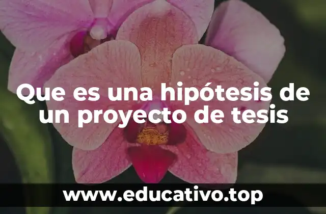 La importancia de una hipótesis en el marco teórico de una tesis