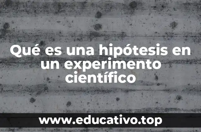 Qué es una hipótesis en un experimento científico