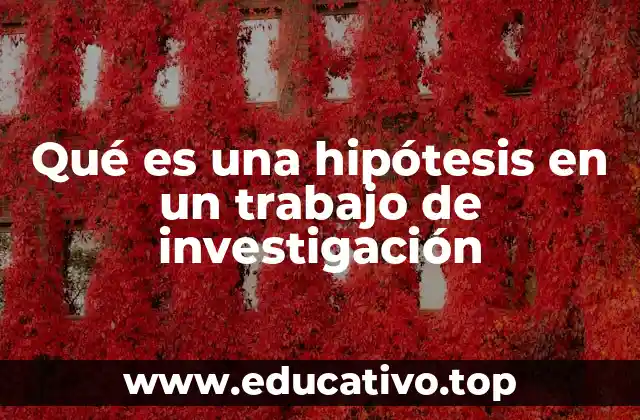 Qué es una hipótesis en un trabajo de investigación