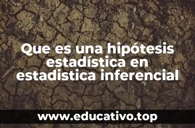 Que es una hipótesis estadística en estadistica inferencial