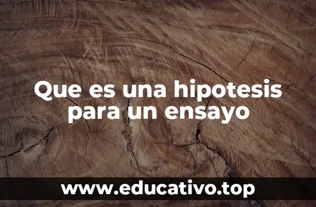 La importancia de formular una hipótesis clara en la estructura de un ensayo