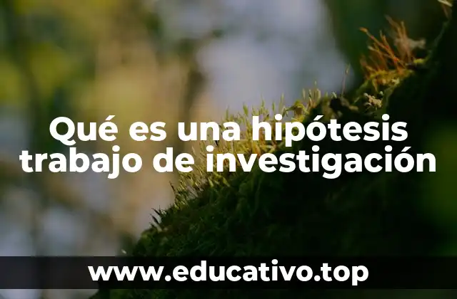 Qué es una hipótesis trabajo de investigación