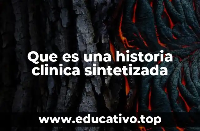 Que es una historia clinica sintetizada