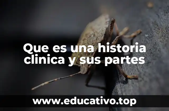 Que es una historia clinica y sus partes